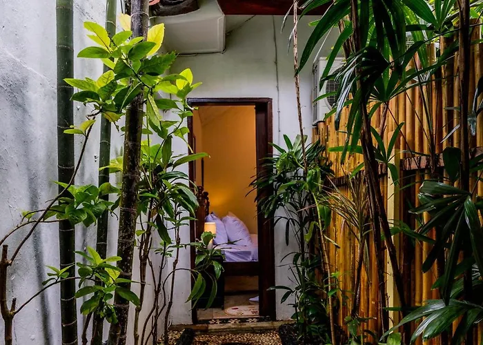 Little Forest 3 Bedroom Bohemia Seminyak